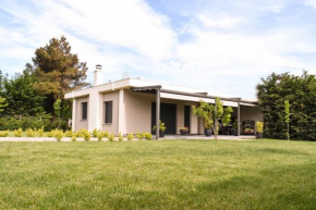 Aurelia Home